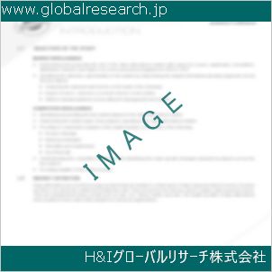 グローバルリサーチ調査資料のイメージ